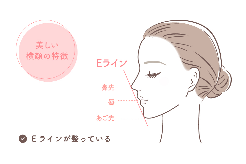 女性の横顔で、鼻先から顎にかけてのEラインが整っているイラスト。