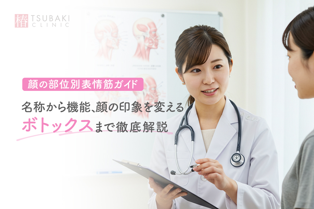 顔の部位別表情筋ガイド：名称から機能、顔の印象を変えるボトックスまで徹底解説