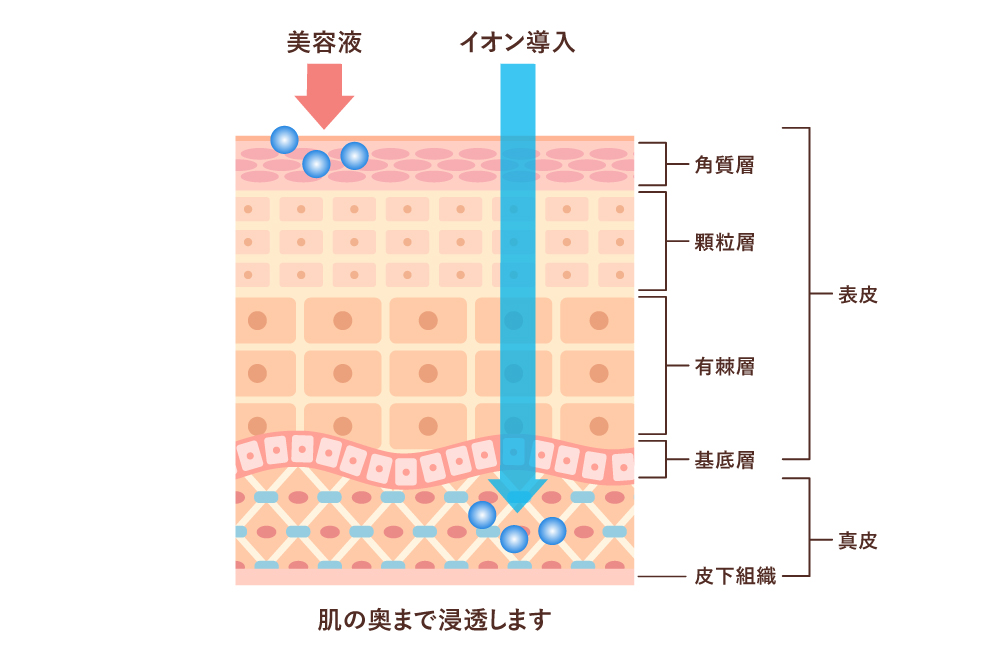 イオン導入の作用