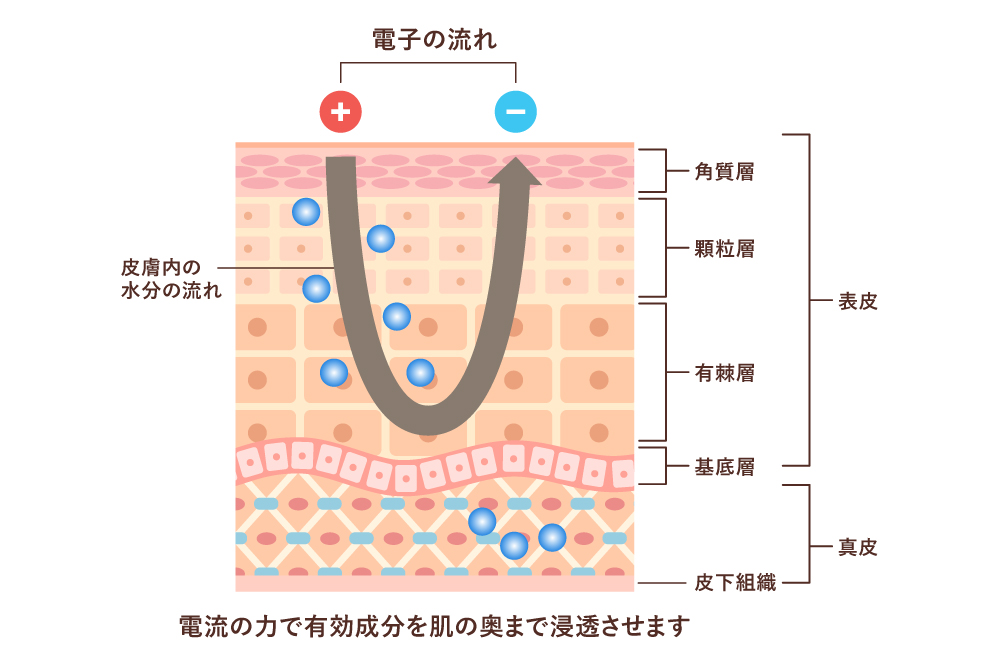 イオン導入の作用
