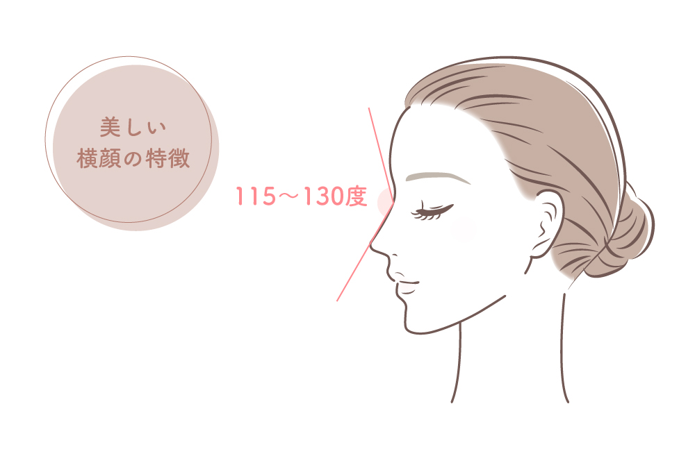 美しい横顔の特徴
