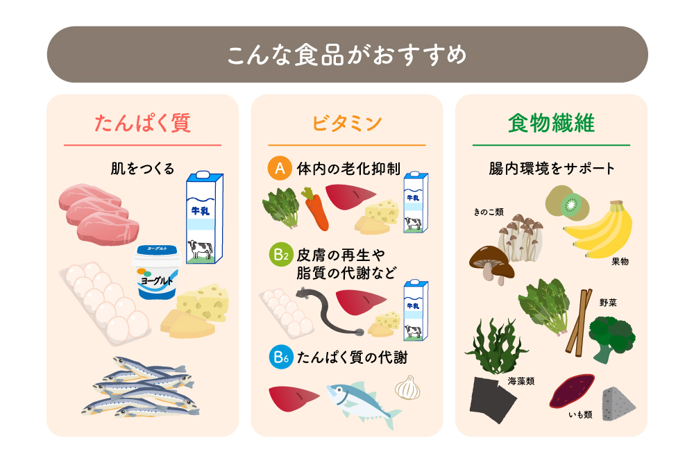 肌に良いたんぱく質・ビタミン・食物繊維のおすすめの食品や食材が描かれたイラスト。